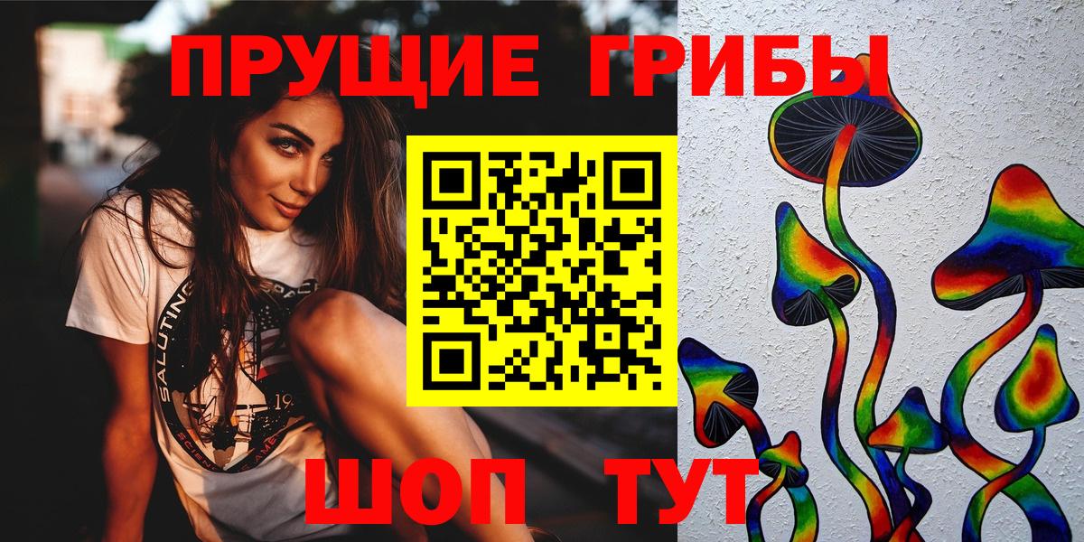 Галлюциногенные грибы GOLDEN TEACHER  Галлюциногенные грибы Psilocybine cubensis  Майский  Вход с VPN 